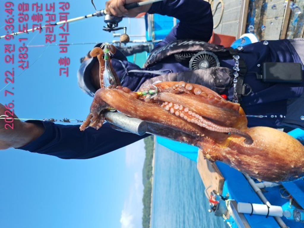 낚시뚜,,녹동항,비너스피싱,낚시뚜3