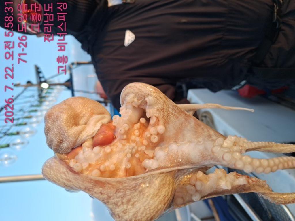 낚시뚜,,녹동항,비너스피싱,낚시뚜4