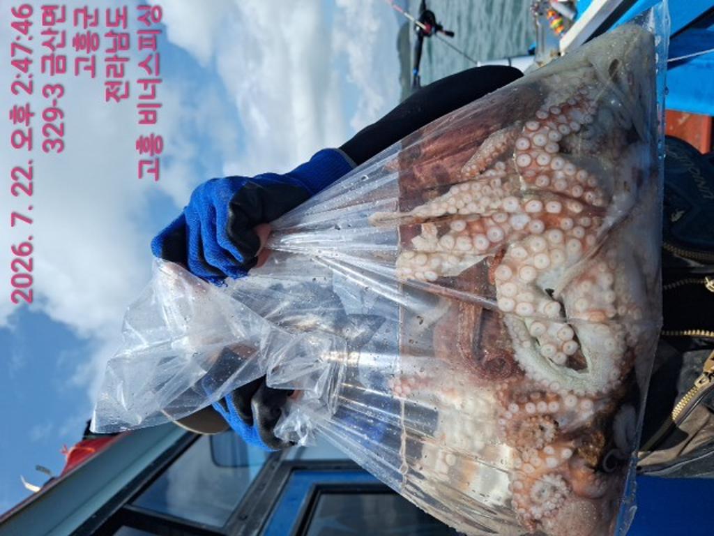 낚시뚜,,녹동항,비너스피싱,낚시뚜7