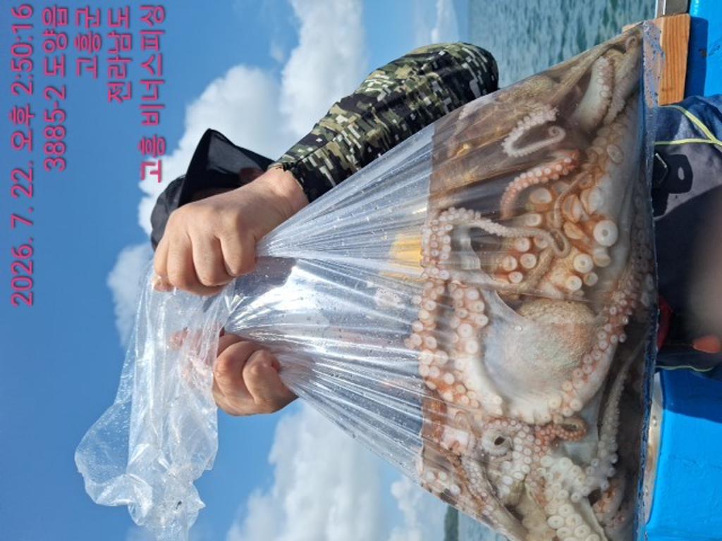 낚시뚜,,녹동항,비너스피싱,낚시뚜8