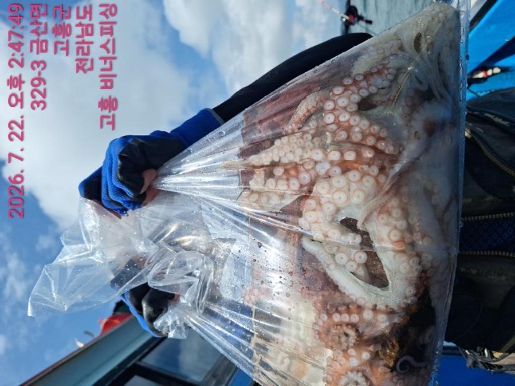 낚시뚜,,녹동항,비너스피싱,낚시뚜9