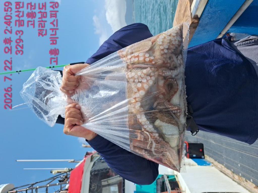 낚시뚜,,녹동항,비너스피싱,낚시뚜11