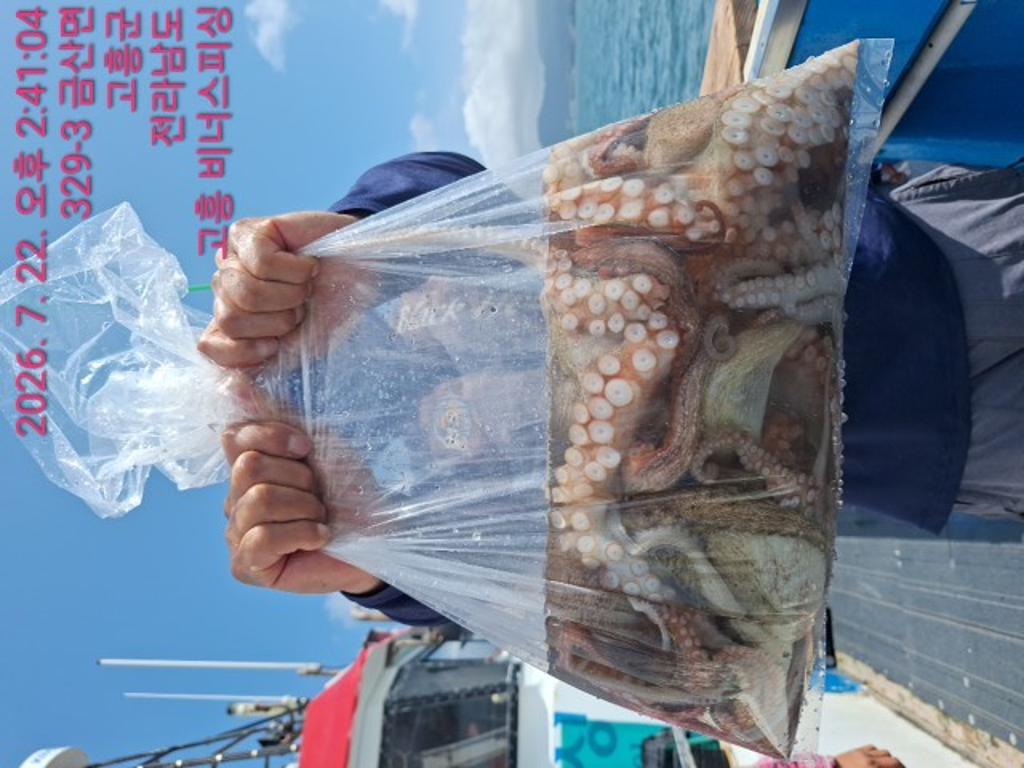 낚시뚜,,녹동항,비너스피싱,낚시뚜13