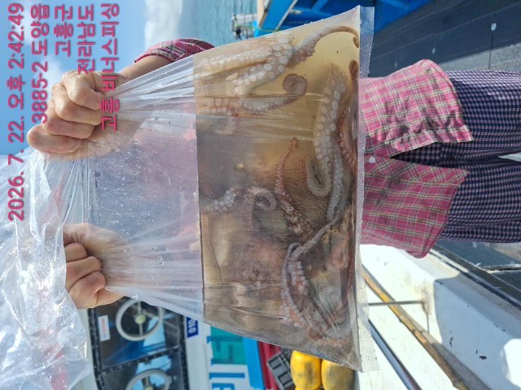 낚시뚜,,녹동항,비너스피싱,낚시뚜14