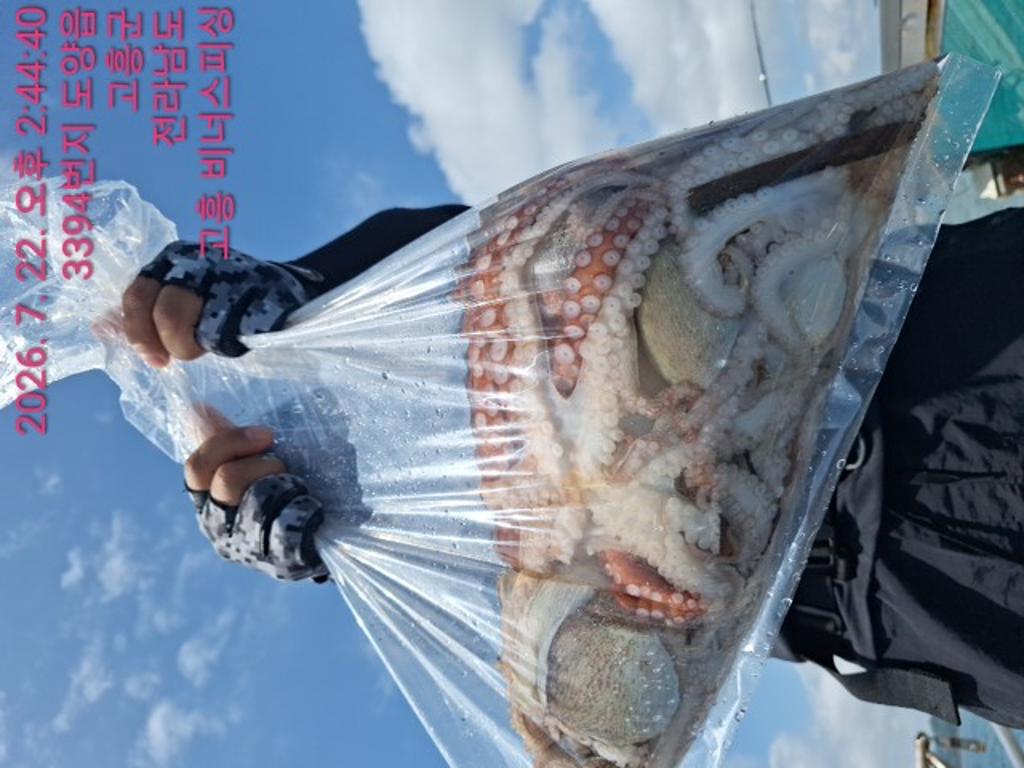 낚시뚜,,녹동항,비너스피싱,낚시뚜15