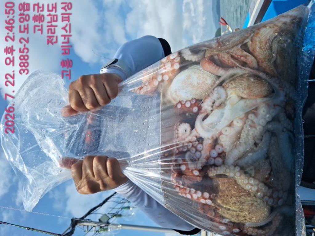 낚시뚜,,녹동항,비너스피싱,낚시뚜16
