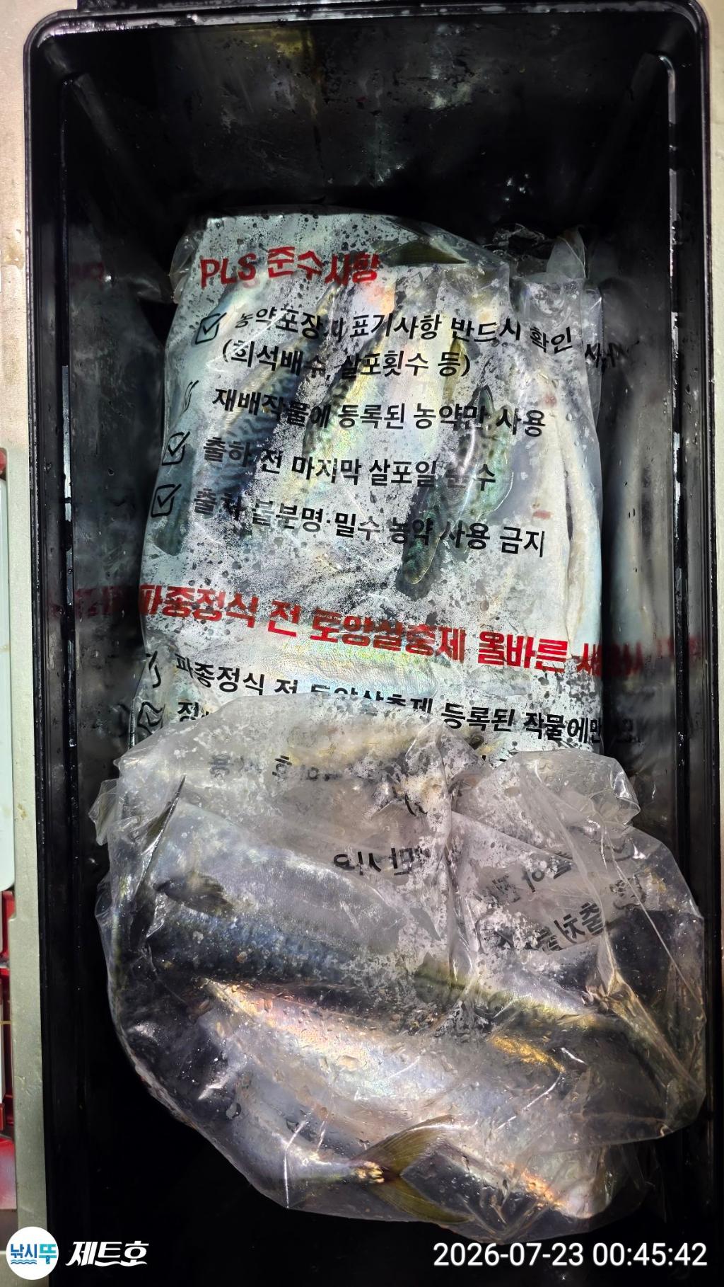 낚시뚜,고등어,전갱이,영일만항,포항 제트호,낚시뚜21