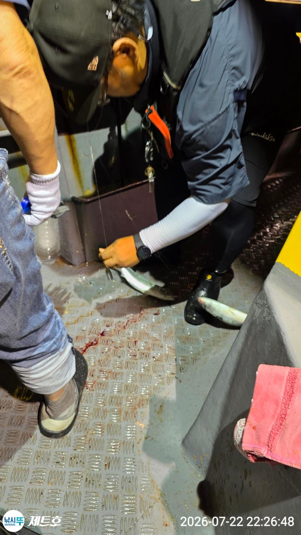 낚시뚜,고등어,전갱이,영일만항,포항 제트호,낚시뚜6