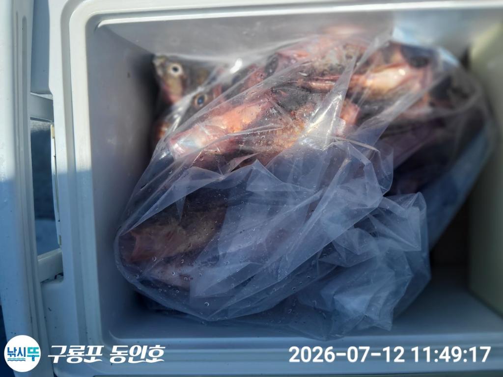 낚시뚜,볼락,쏨뱅이,구룡포항,구룡포 동인호,낚시뚜16
