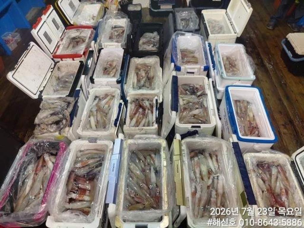 낚시뚜,기타 (직접입력),삼포항,삼포대교낚시,낚시뚜7