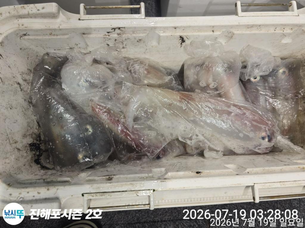 낚시뚜,한치,진해행암항,진해포시즌 2호,낚시뚜7