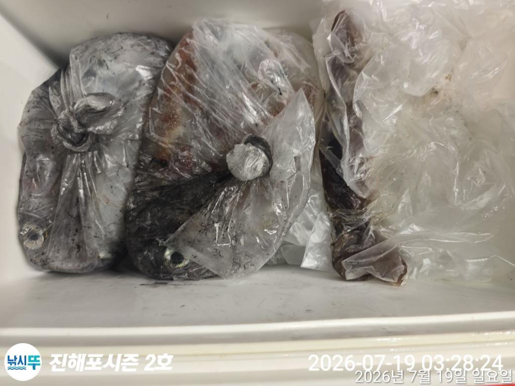 낚시뚜,한치,진해행암항,진해포시즌 2호,낚시뚜4