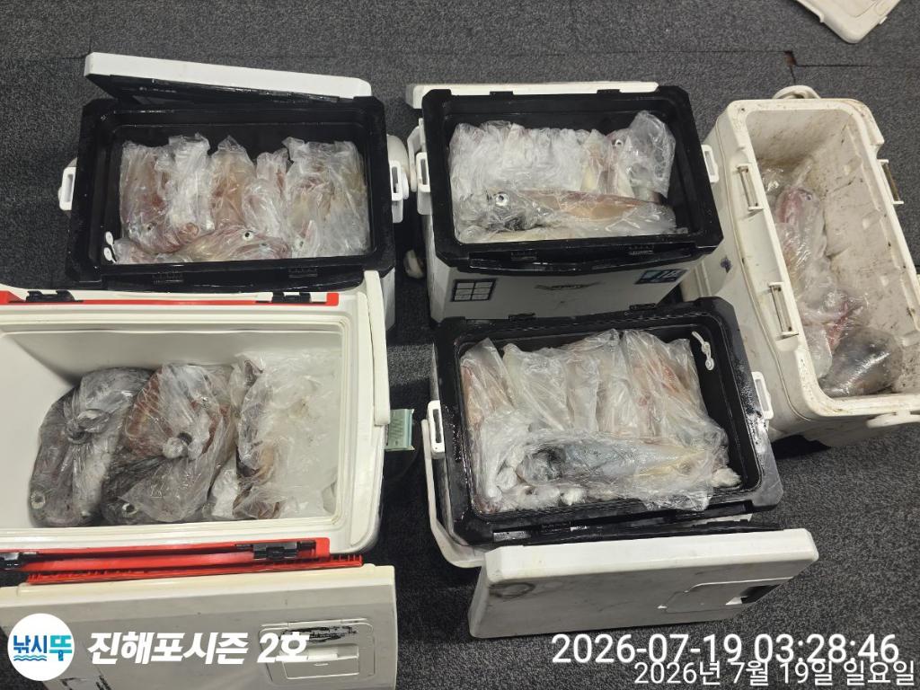낚시뚜,한치,진해행암항,진해포시즌 2호,낚시뚜2