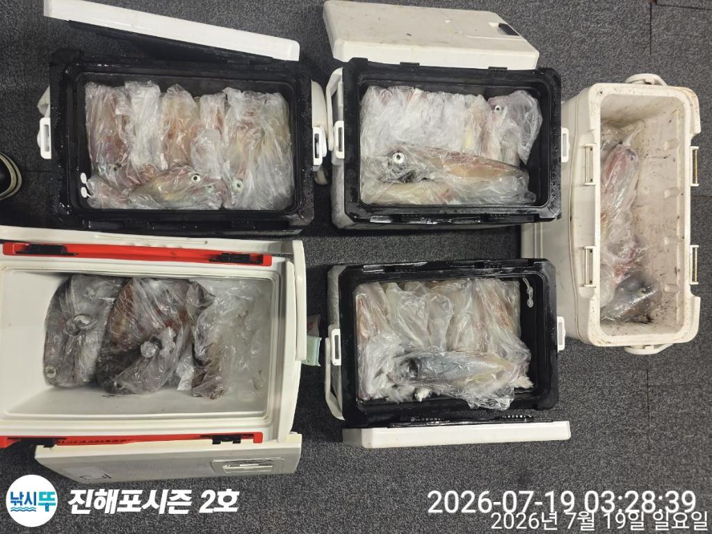 낚시뚜,한치,진해행암항,진해포시즌 2호,낚시뚜1