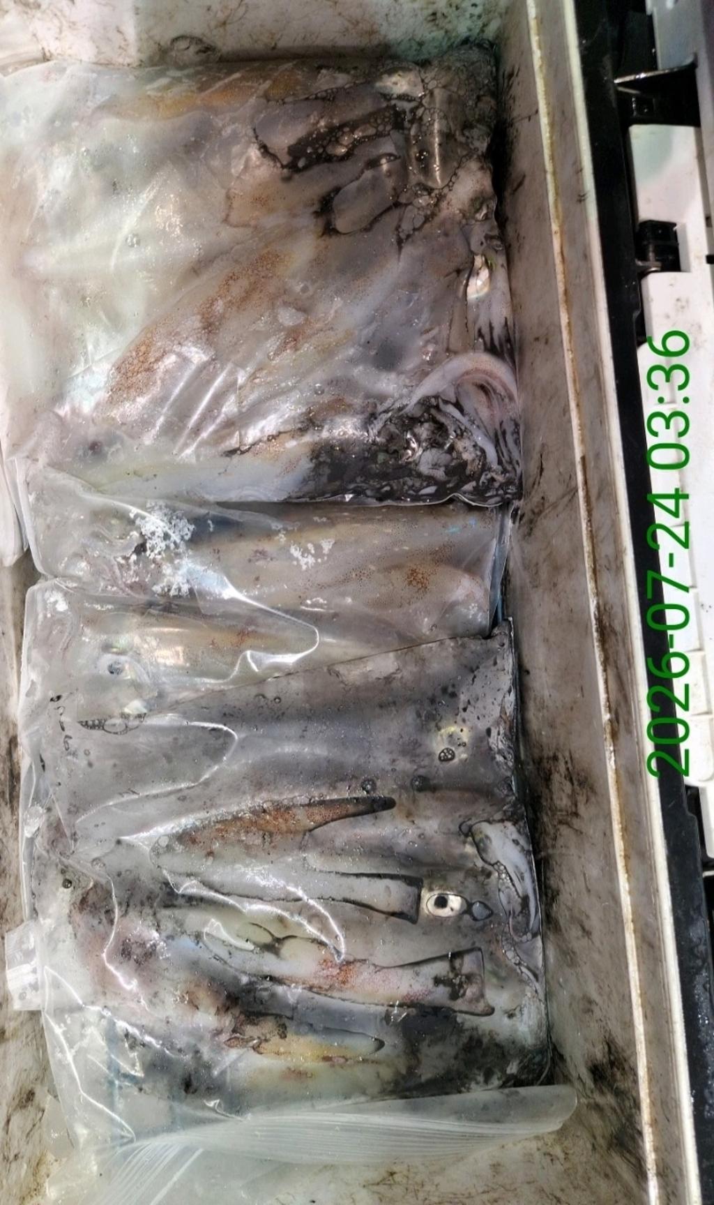낚시뚜,기타 (직접입력),삼포항,삼포대교낚시,낚시뚜20