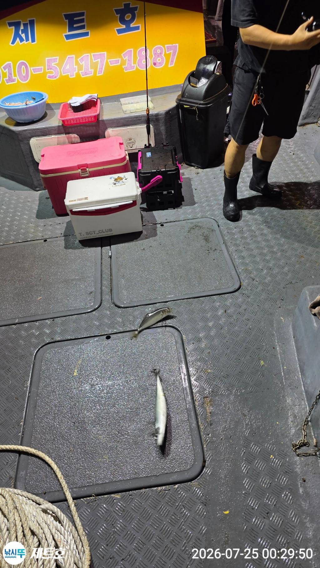 낚시뚜,고등어,전갱이,영일만항,포항 제트호,낚시뚜2