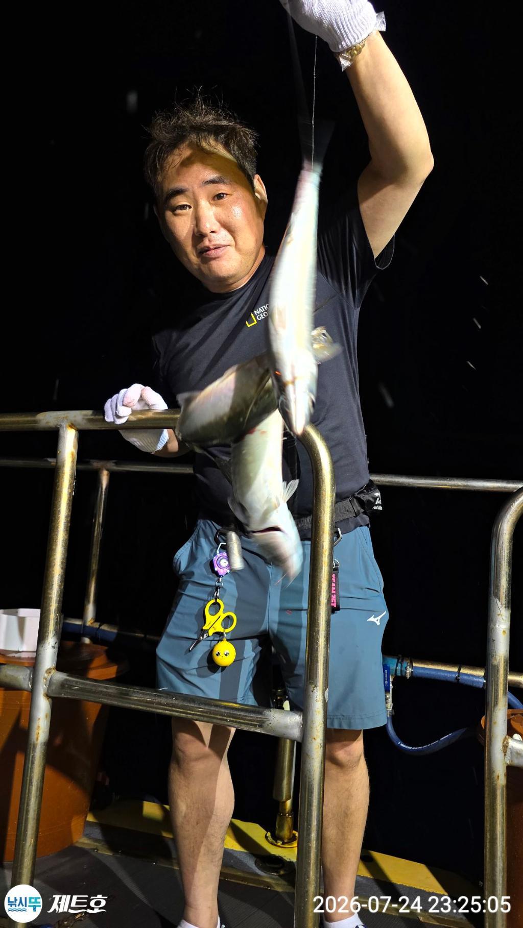 낚시뚜,고등어,전갱이,영일만항,포항 제트호,낚시뚜1