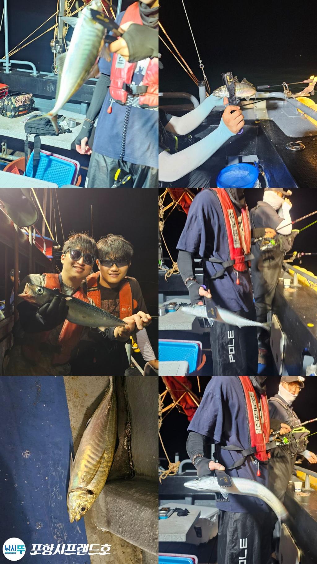 낚시뚜,전갱이,고등어,영일만항,포항시프랜드호,낚시뚜0