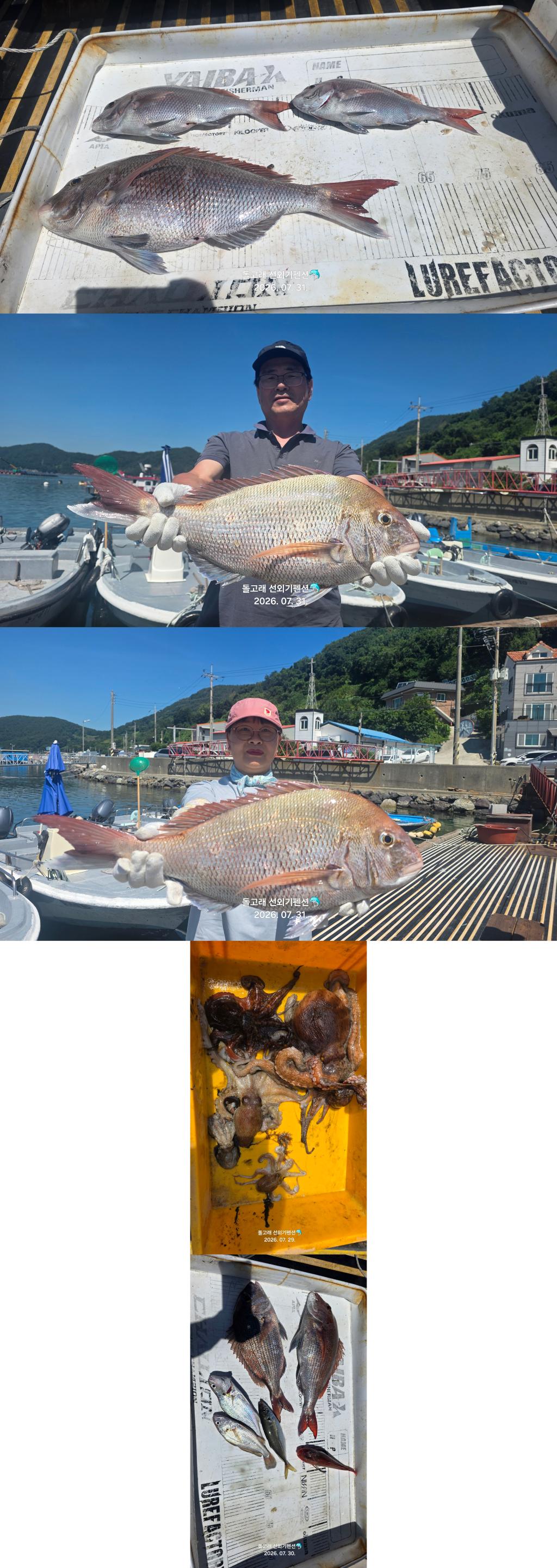낚시뚜,문어,풍화상장마을,풍화리돌고래낚시,낚시뚜0