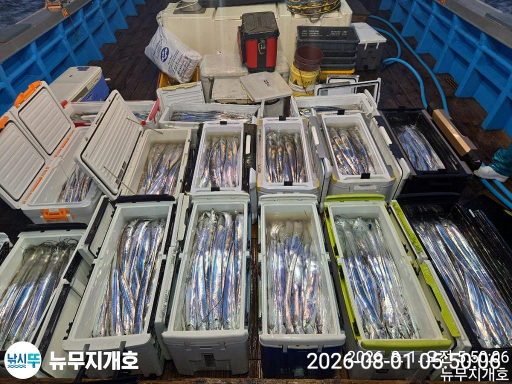 낚시뚜,갈치,통영영운리항,뉴무지개호,낚시뚜10