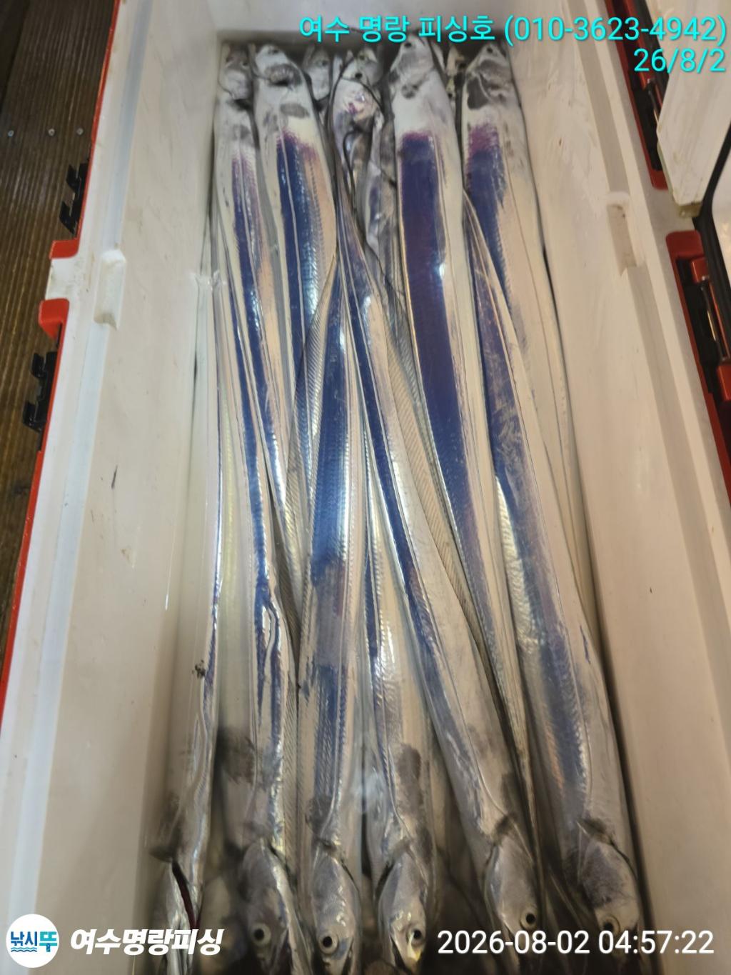 낚시뚜,갈치,국동항,여수명랑피싱,낚시뚜4