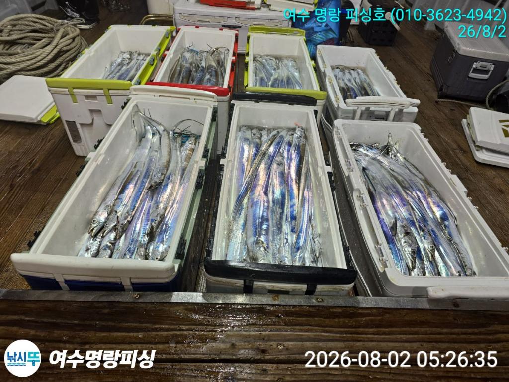 낚시뚜,갈치,국동항,여수명랑피싱,낚시뚜3