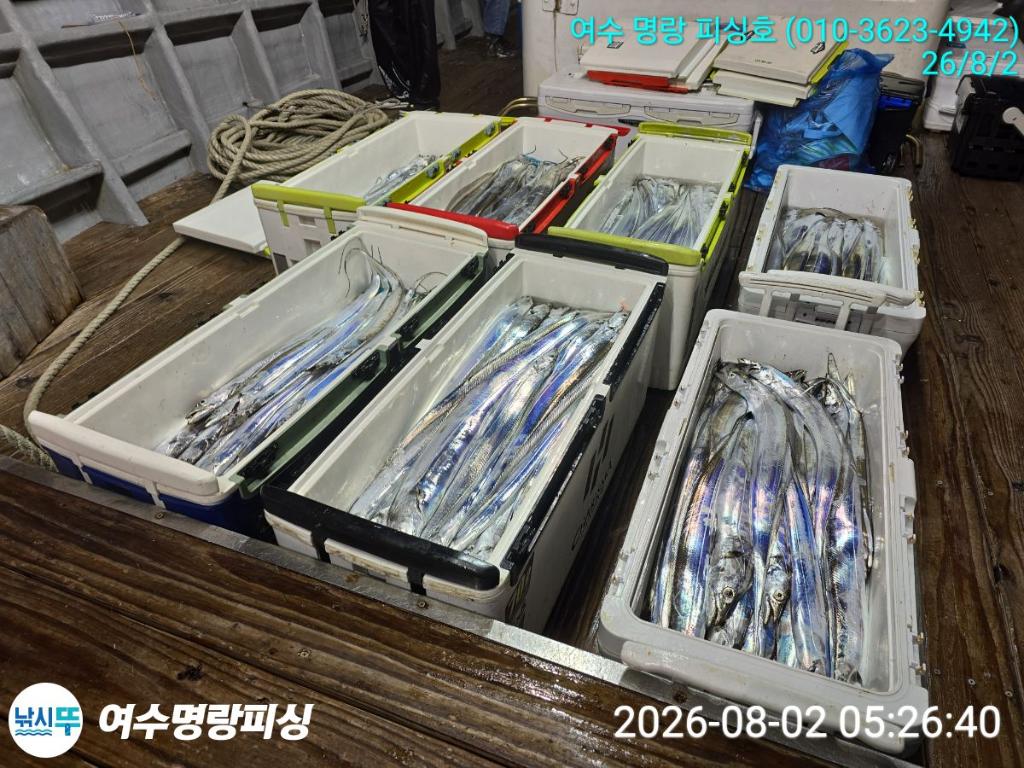 낚시뚜,갈치,국동항,여수명랑피싱,낚시뚜2