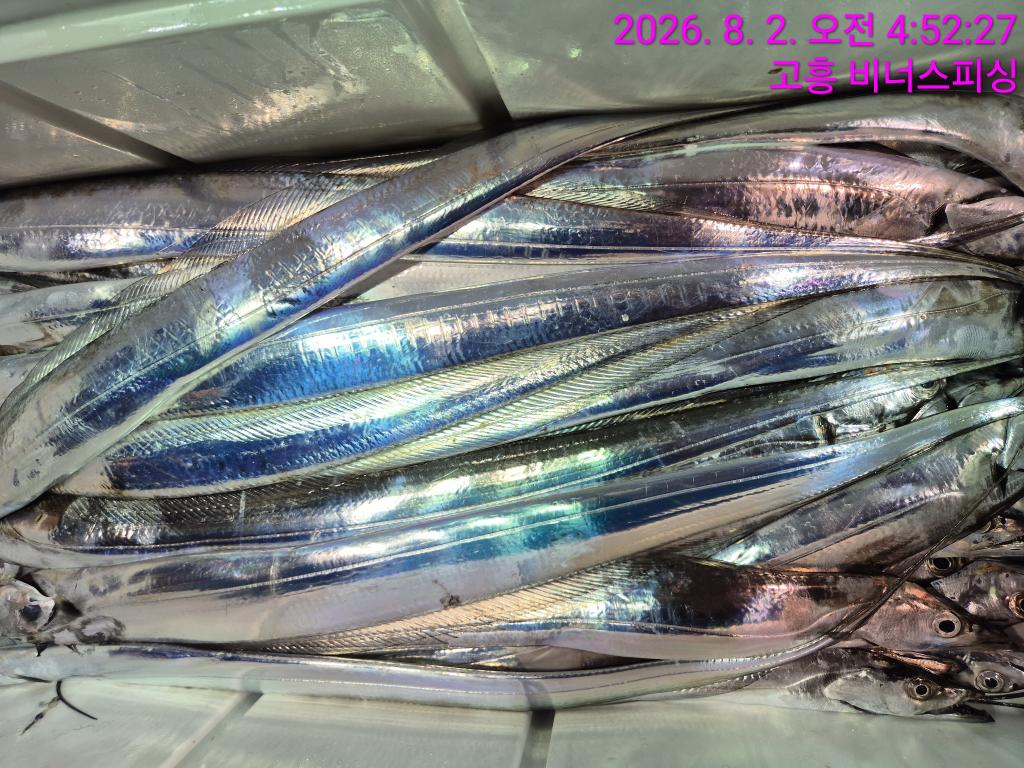 낚시뚜,,녹동항,비너스피싱,낚시뚜12