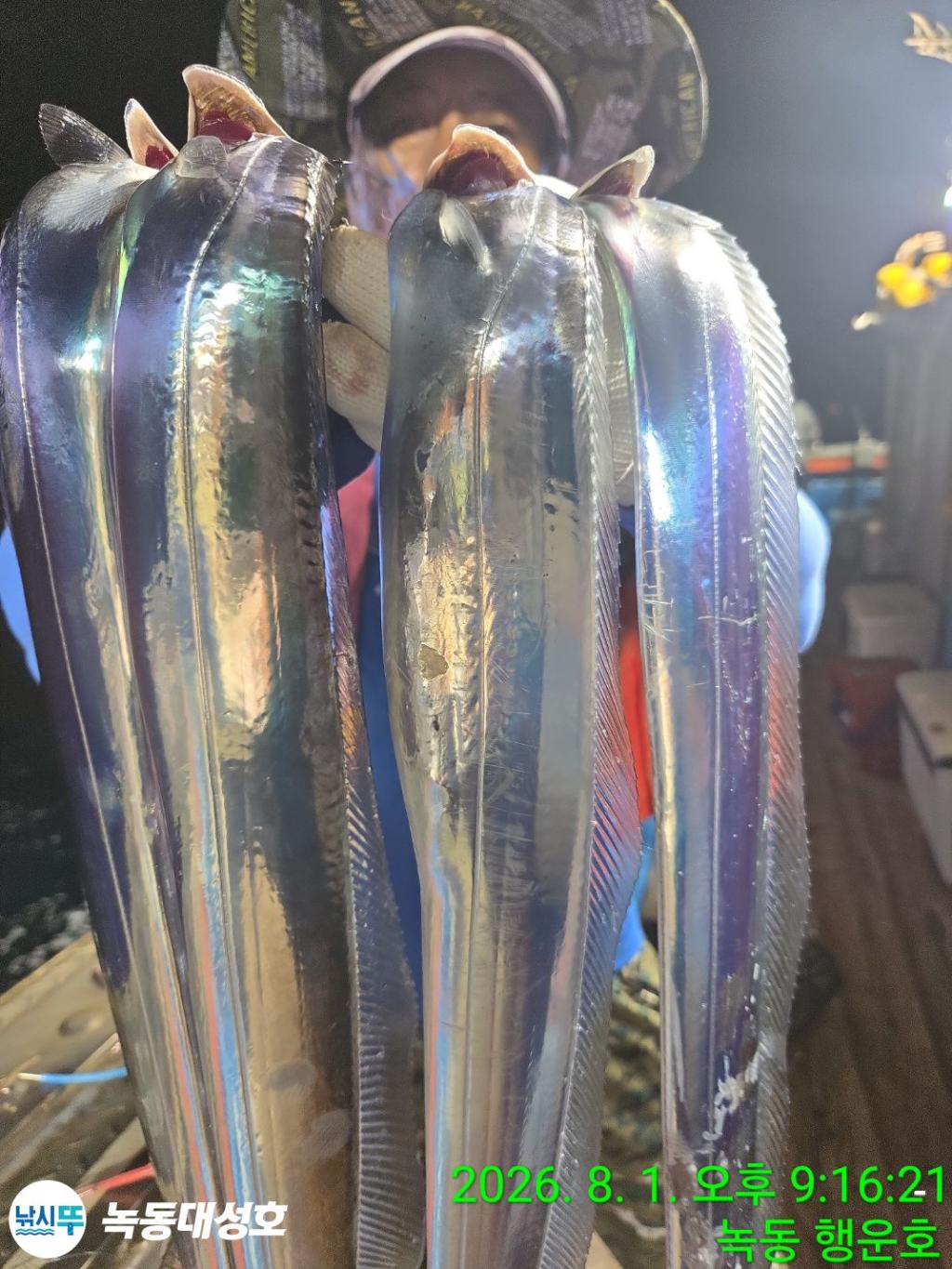 낚시뚜,갈치,녹동항,녹동대성호,낚시뚜15