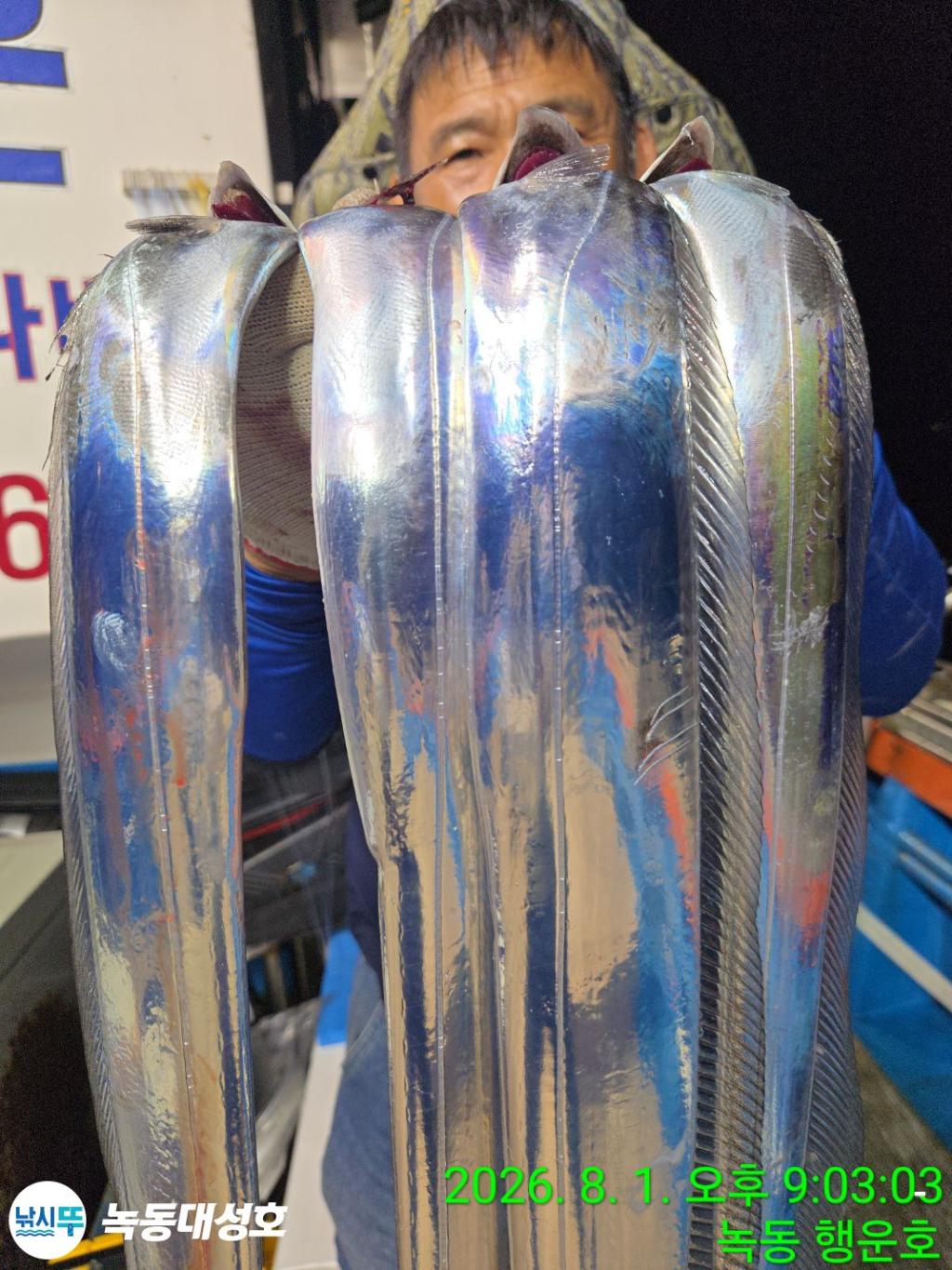 낚시뚜,갈치,녹동항,녹동대성호,낚시뚜13