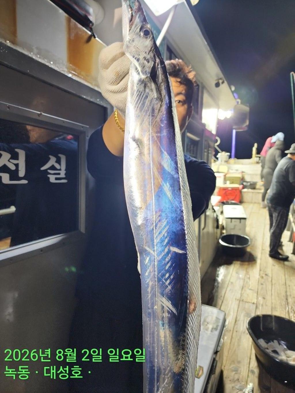 낚시뚜,갈치,녹동항,녹동대성호,낚시뚜10