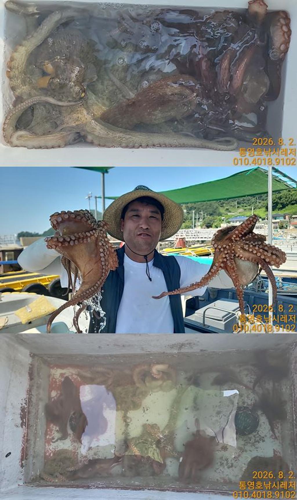 낚시뚜,문어,풍화수월선착장,통영호 낚시레져,낚시뚜0