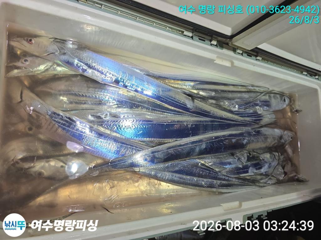 낚시뚜,갈치,국동항,여수명랑피싱,낚시뚜10