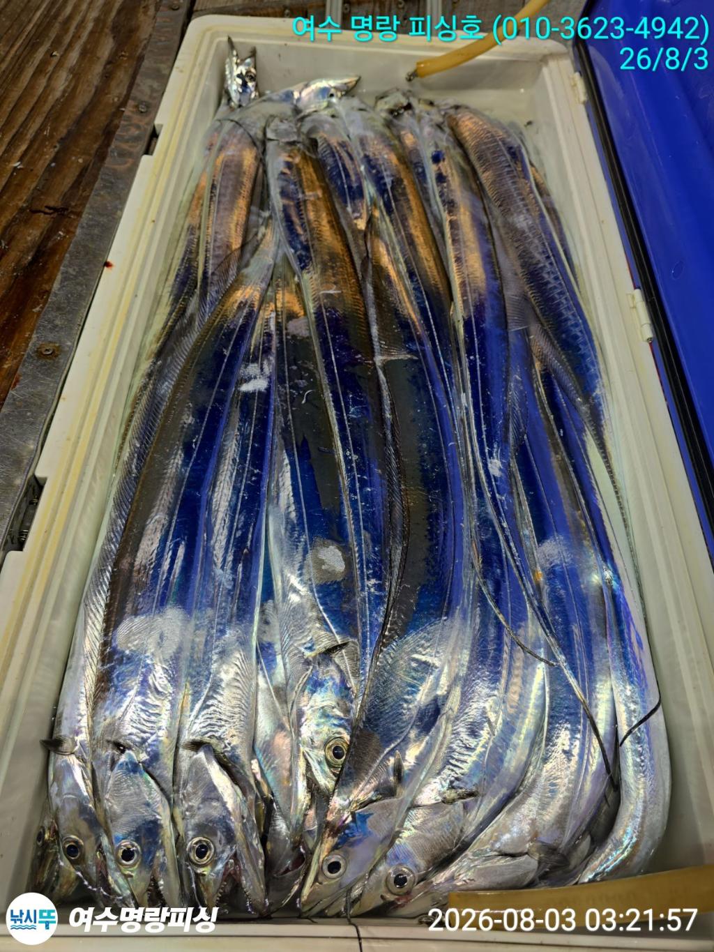 낚시뚜,갈치,국동항,여수명랑피싱,낚시뚜4
