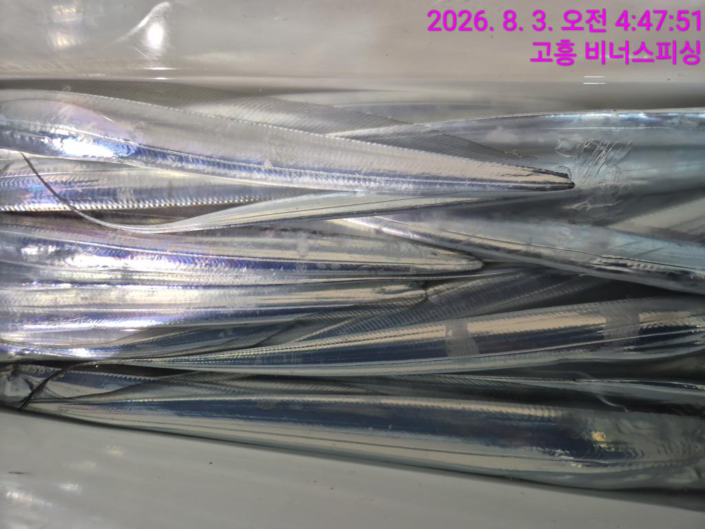 낚시뚜,,녹동항,비너스피싱,낚시뚜8