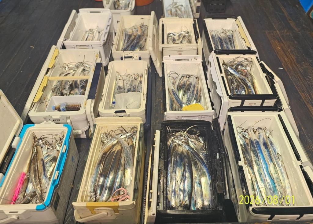 낚시뚜,갈치,삼포항,삼포대교낚시,낚시뚜27