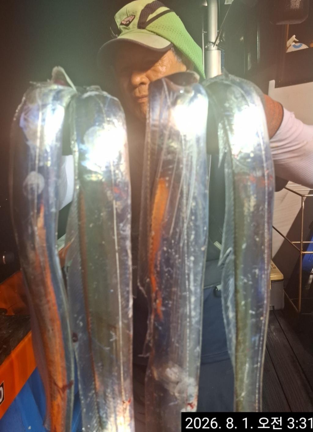 낚시뚜,갈치,삼포항,삼포대교낚시,낚시뚜31