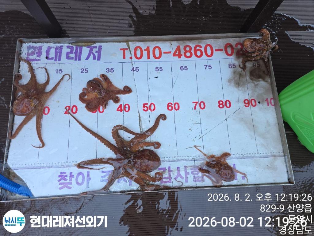 낚시뚜,돌문어,풍화상장마을,통영 현대레져선외기,낚시뚜3