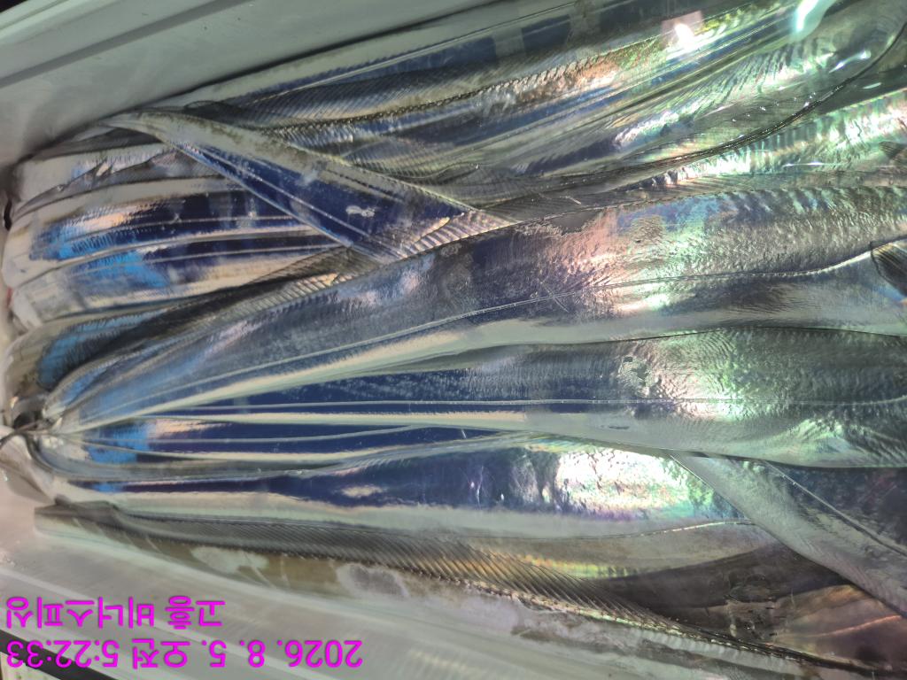 낚시뚜,,녹동항,비너스피싱,낚시뚜8