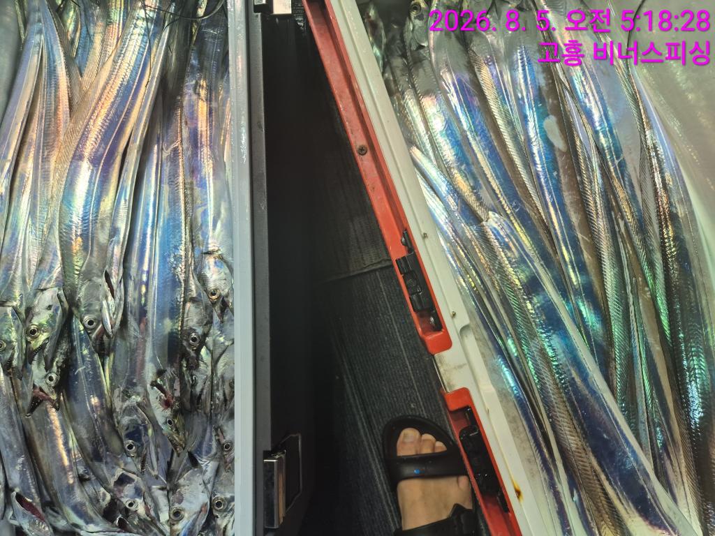 낚시뚜,,녹동항,비너스피싱,낚시뚜13