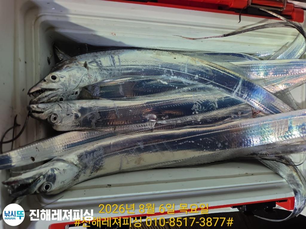 낚시뚜,갈치,진해1부두항,진해레져피싱,낚시뚜23