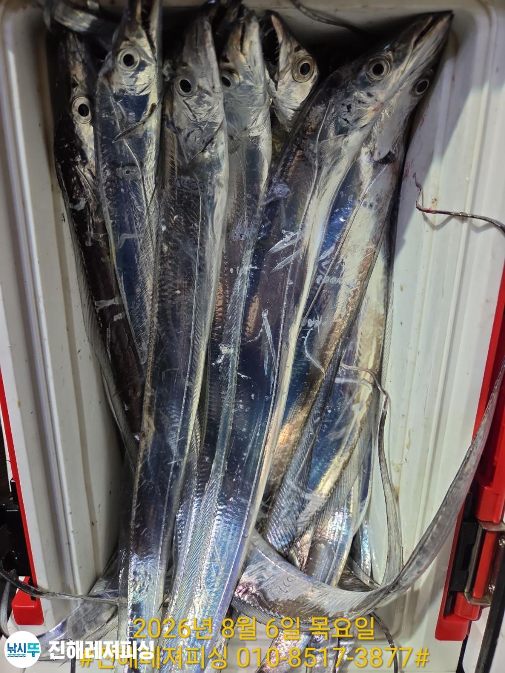 낚시뚜,갈치,진해1부두항,진해레져피싱,낚시뚜21