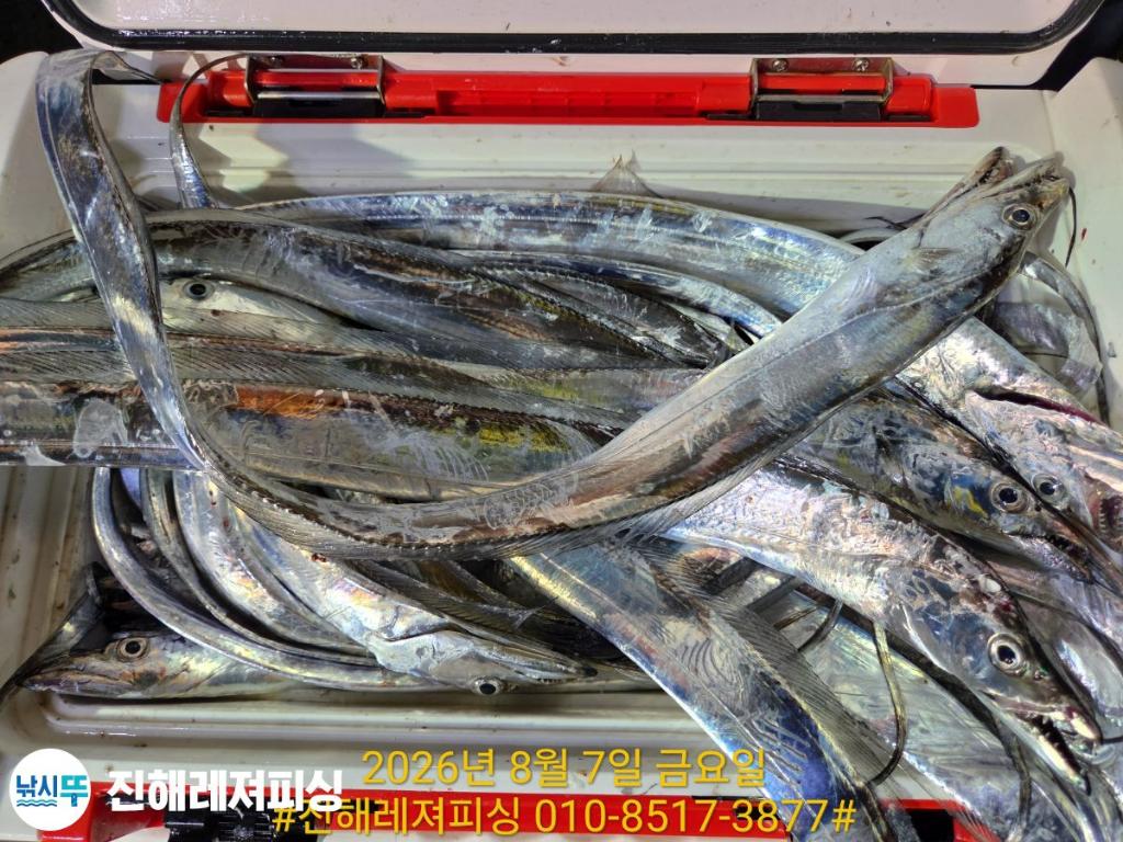 낚시뚜,갈치,진해1부두항,진해레져피싱,낚시뚜20