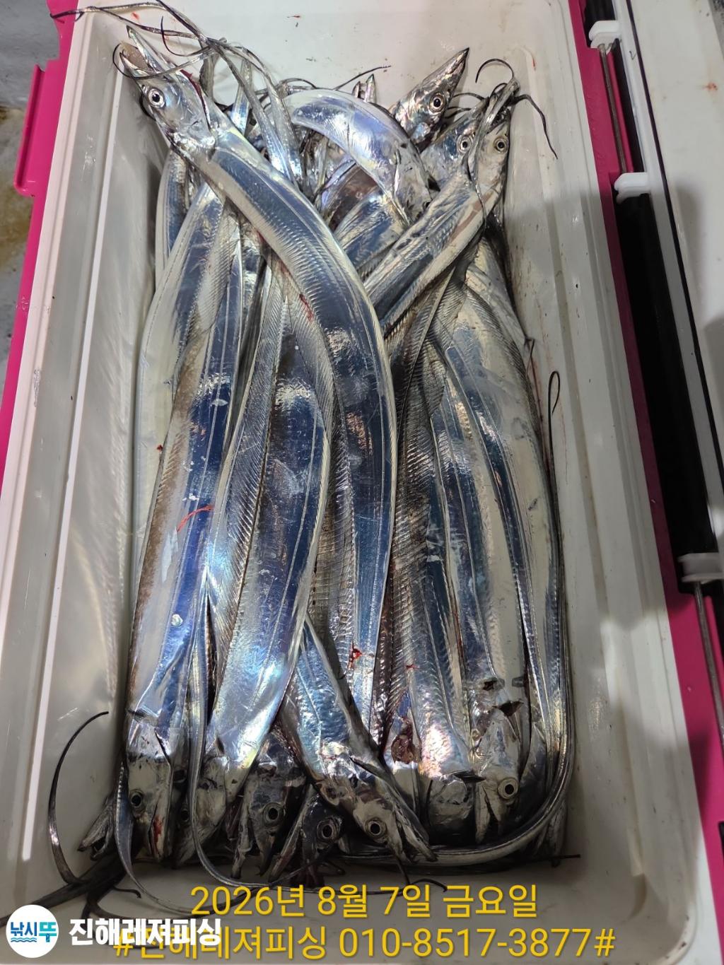 낚시뚜,갈치,진해1부두항,진해레져피싱,낚시뚜19