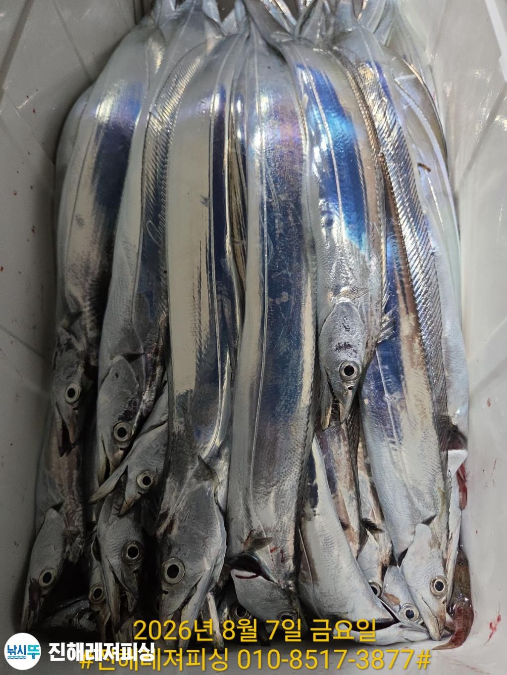 낚시뚜,갈치,진해1부두항,진해레져피싱,낚시뚜17