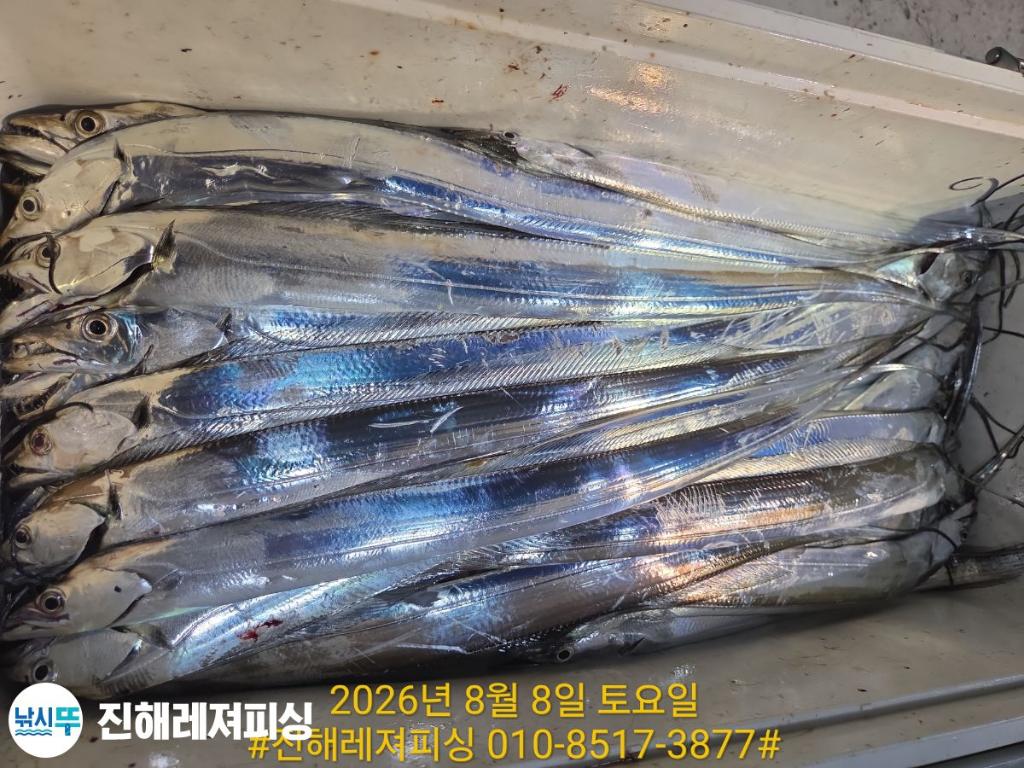 낚시뚜,갈치,진해1부두항,진해레져피싱,낚시뚜15