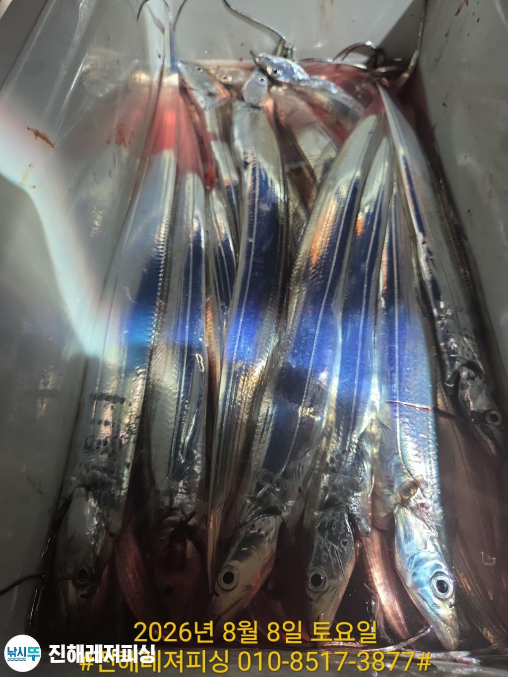 낚시뚜,갈치,진해1부두항,진해레져피싱,낚시뚜13