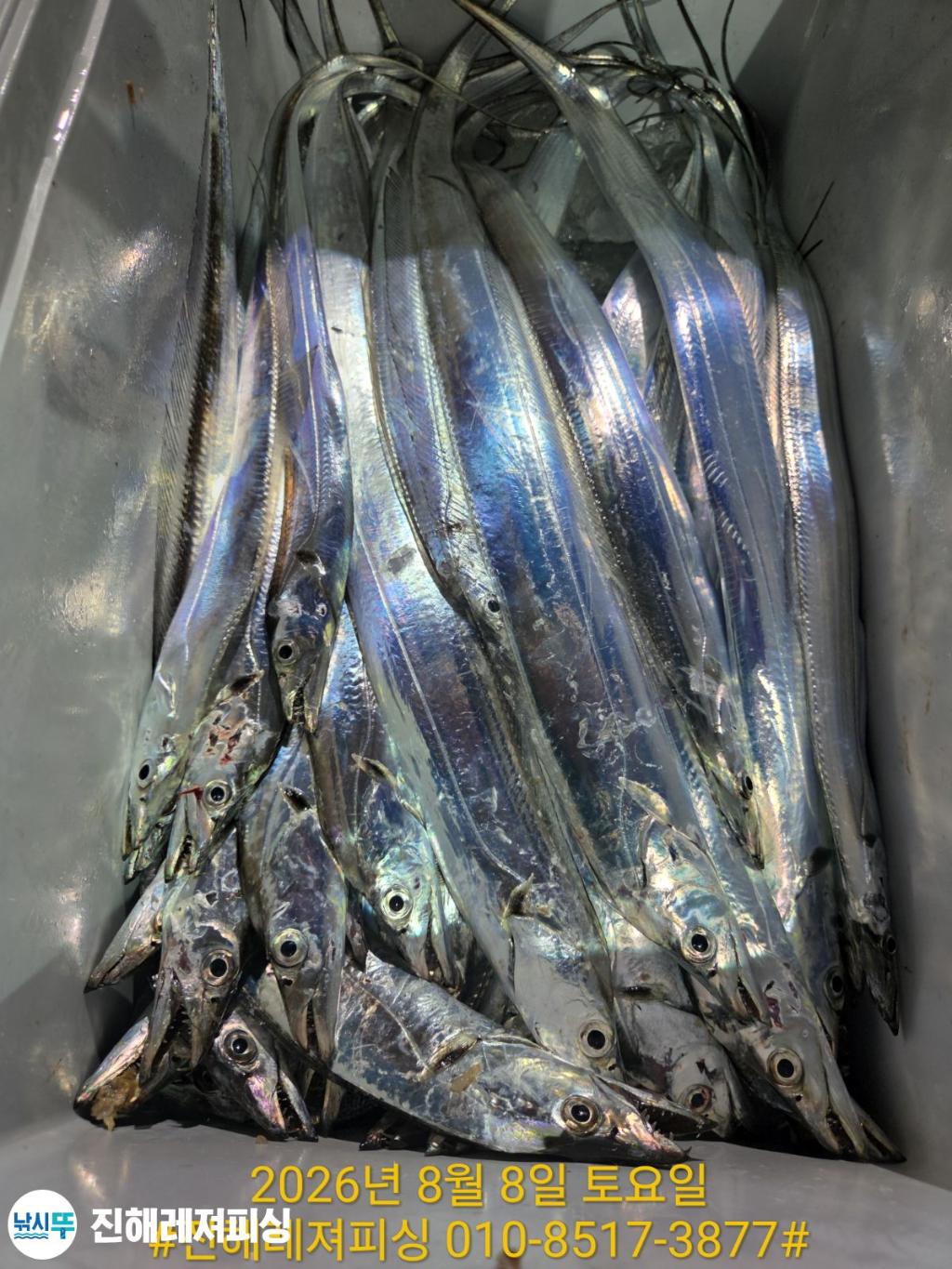 낚시뚜,갈치,진해1부두항,진해레져피싱,낚시뚜12
