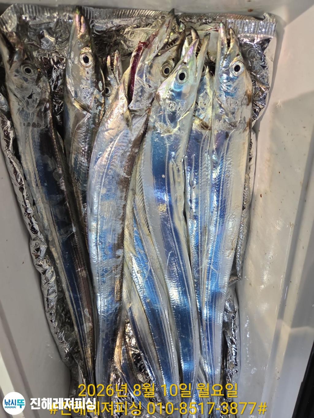 낚시뚜,갈치,진해1부두항,진해레져피싱,낚시뚜19