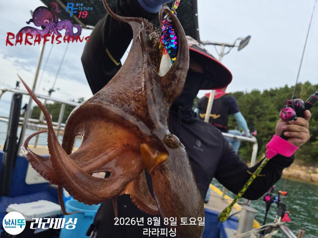 낚시뚜,돌문어,속천항(진해),라라피싱,낚시뚜4